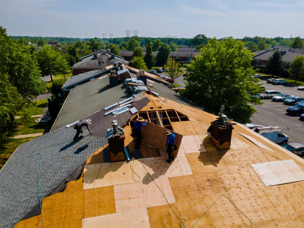 Best Flat Roof Repair Services  in Crozet, VA